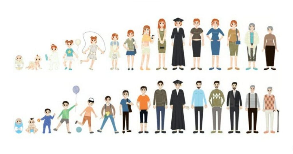 Illustration showing people at every life stage, from infancy to old age